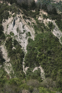 Full frame shot of rocks on land