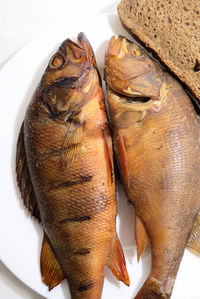 High angle view of fish in plate