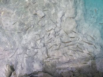 Full frame shot of water on rock