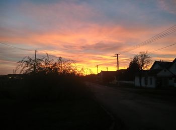 Trees at sunset