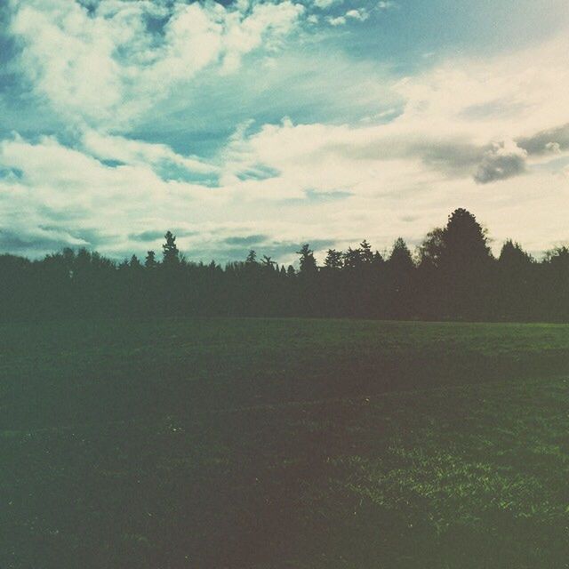 sky, tranquility, tranquil scene, tree, landscape, field, scenics, beauty in nature, grass, nature, cloud - sky, growth, grassy, cloud, rural scene, non-urban scene, no people, idyllic, outdoors, cloudy