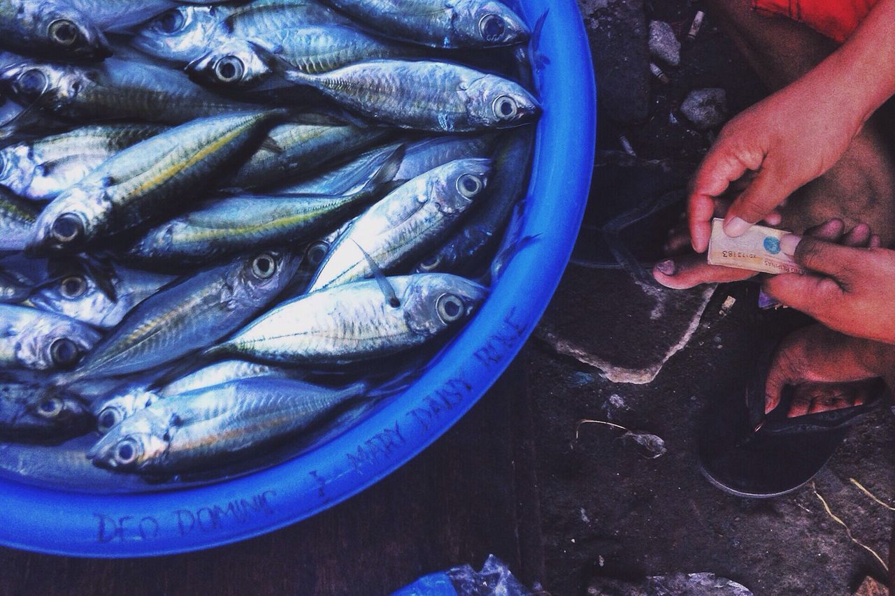 seafood, person, indoors, fish, high angle view, part of, dead animal, food, cropped, close-up, food and drink, healthy eating, for sale, freshness, low section, abundance, men