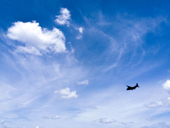 Low angle view of bird flying in sky