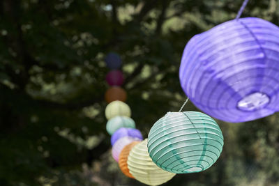 Low angle view of illuminated lanterns hanging on tree