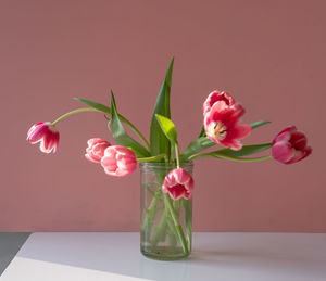 Close-up of pink roses in vase on table against wall