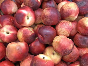 Full frame shot of rotting apples