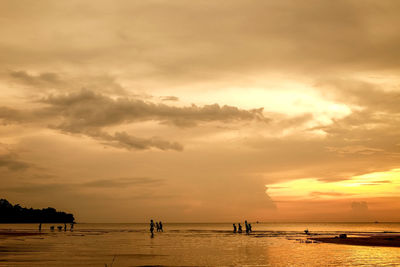 Silhouette people on beach against sky during sunset