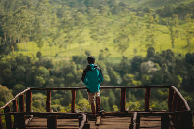 Rear view of man standing by railing against trees