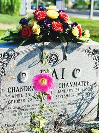 Close-up of flowering plants at cemetery