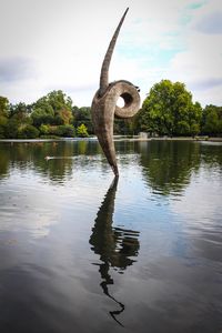 Swan on lake by trees against sky