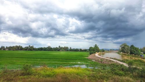 Scenic view of field against sky