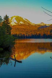 Scenic view of lake in forest during sunset