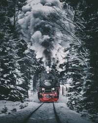 Train emitting smoke amidst trees during winter