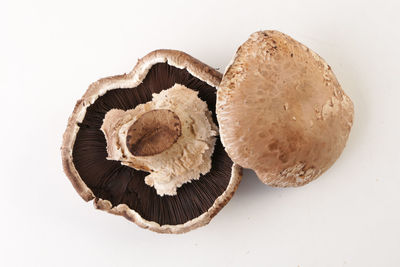 High angle view of bread against white background