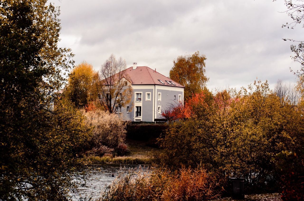 plant, tree, built structure, architecture, autumn, building exterior, sky, nature, building, cloud - sky, no people, change, day, growth, water, beauty in nature, house, outdoors, residential district, fall