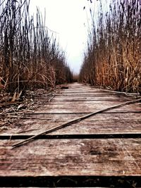 Surface level of railroad track