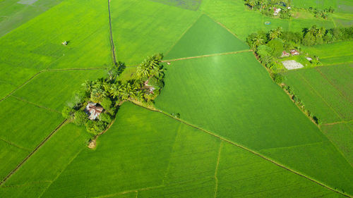 Drone photography