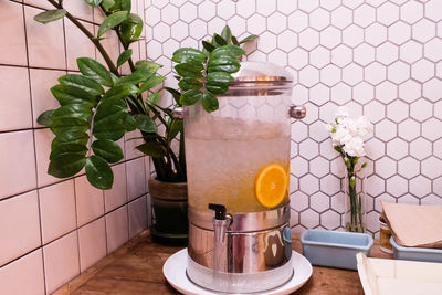 Potted plant at home