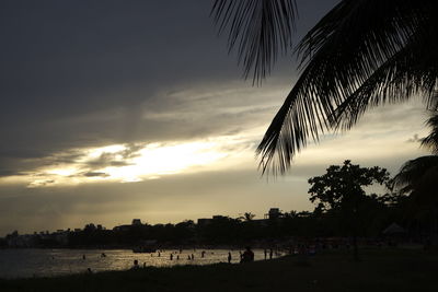 Silhouette palm trees against sky during sunset