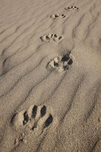 High angle view of footprints on sand