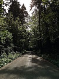 Road passing through trees