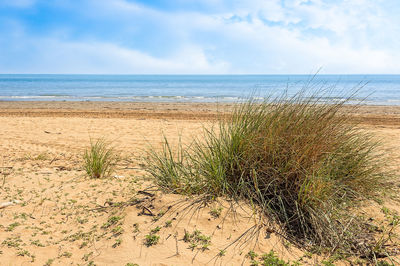 Scenic view of beach against cloudy sky