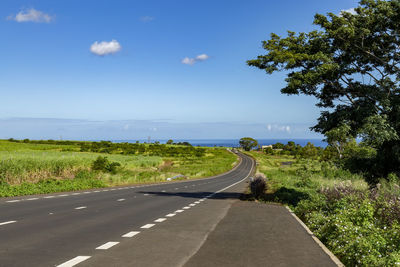 Empty road along trees and plants against sky