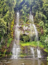 Waterfall in forest