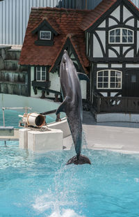 Woman swimming in pool by house