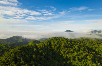 High angle view of trees on landscape against sky