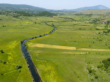 High angle view of agricultural field