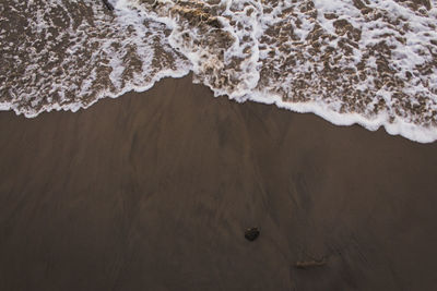 Scenic view of beach