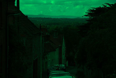 Trees and buildings against sky at night