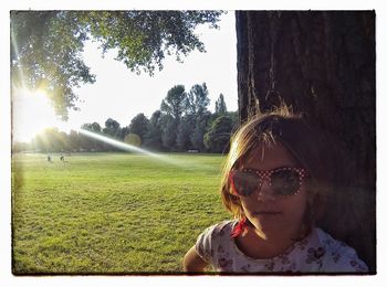 Sun shining through trees