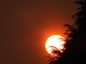 Low angle view of silhouette tree against orange sky