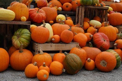 Large group of pumpkins for sale at market stall