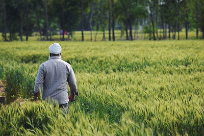 Rear view of farmer walking in agricultural field