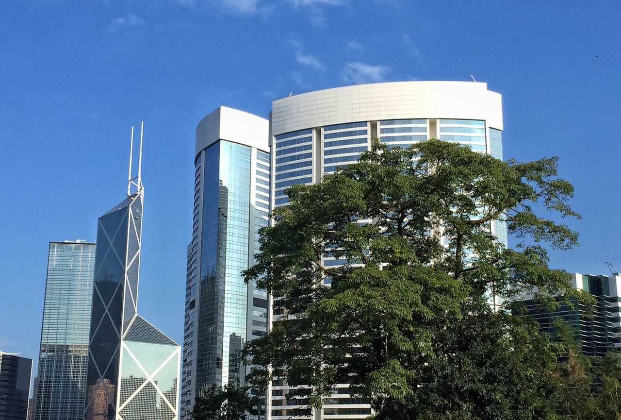 architecture, city, building exterior, skyscraper, tree, low angle view, modern, built structure, growth, no people, outdoors, sky, day, city life