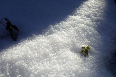 High angle view of person in snow