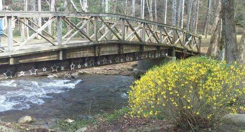 Footbridge over river