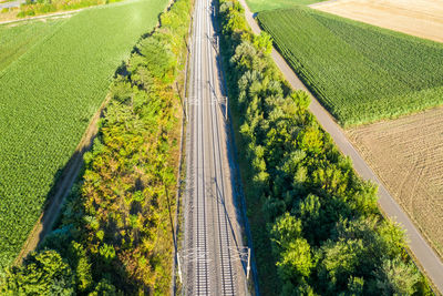 High angle view of agricultural field