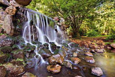 Scenic view of waterfall in forest