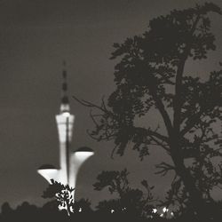 Low angle view of illuminated tree against sky at night