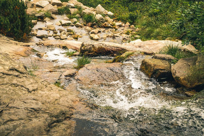 Stream flowing through rocks in forest