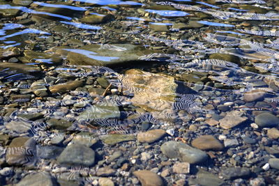 High angle view of stones and sea
