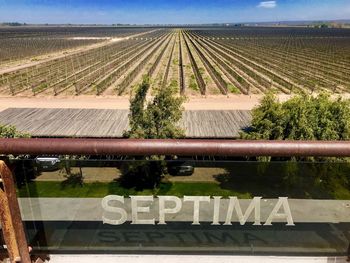 High angle view of agricultural field against sky