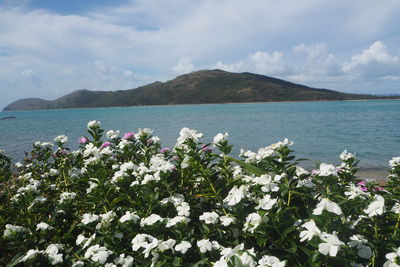 Scenic view of sea and mountains against sky