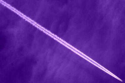 Low angle view of trees against blue sky