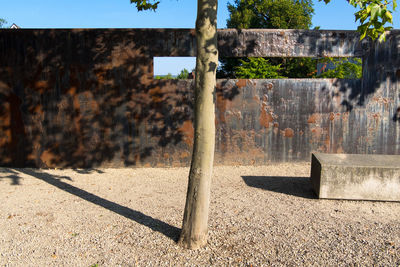 Shadow of trees on wall