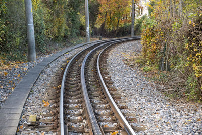 Railroad tracks amidst trees during autumn